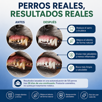 NuviPaws™ | Cuidado Dental Probiótico Natural para Perros