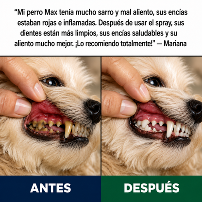 NuviPaws™ | Cuidado Dental Probiótico Natural para Perros